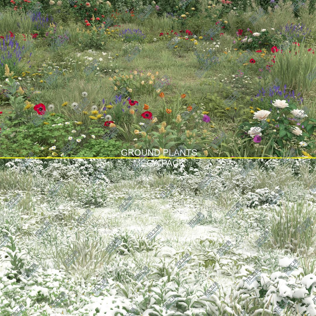 images/goods_img/2021040231/3D 20-20 Ground Plants/1.jpg